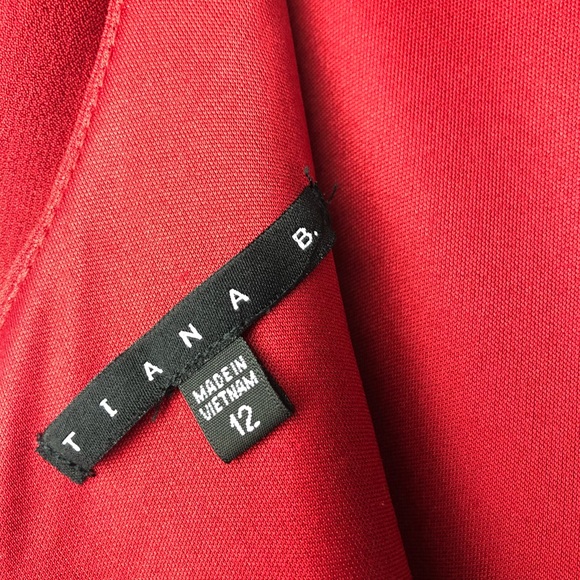 Tiana B. Burgundy and Black Dress. Size 12. - Picture 7 of 8